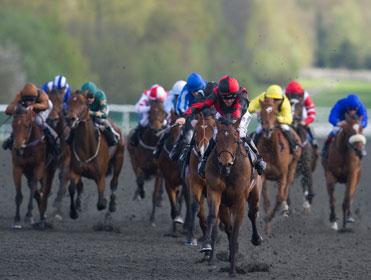Timeform analyse the pace angles at Lingfield