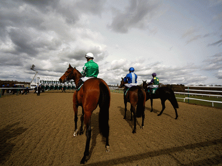 https://betting.betfair.com/horse-racing/Lingfield-horses-at-stalls-640.gif