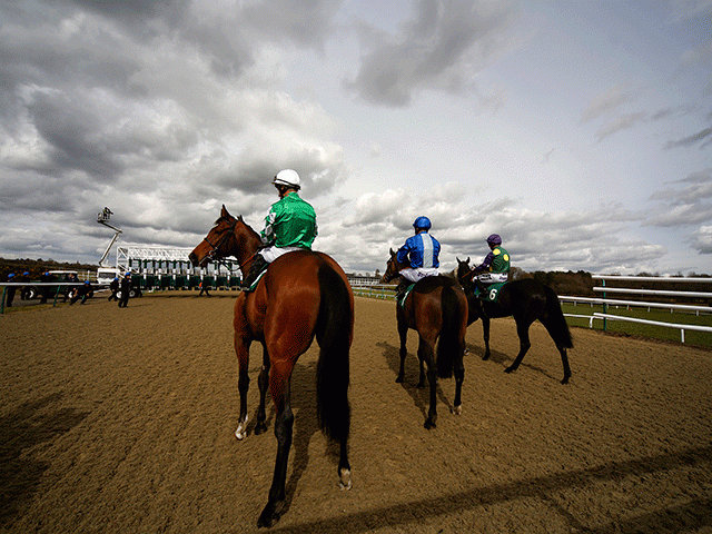 We're racing at Lingfield (pictured), Catterick, and Leicester this afternoon