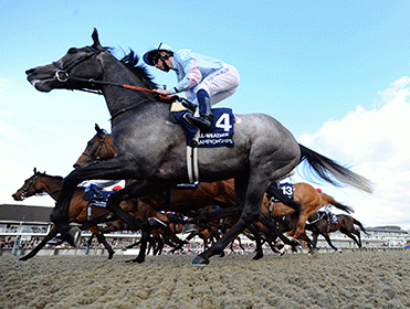 Two of Follow The Money's selections run at Lingfield this afternoon