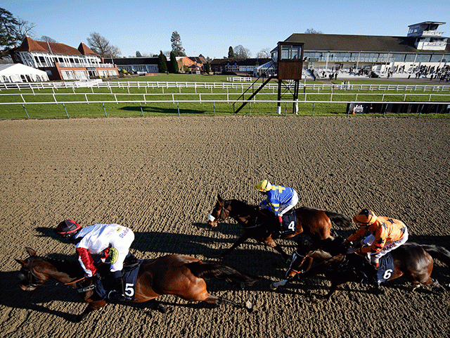 Lingfield is one of three courses staging racing this evening 