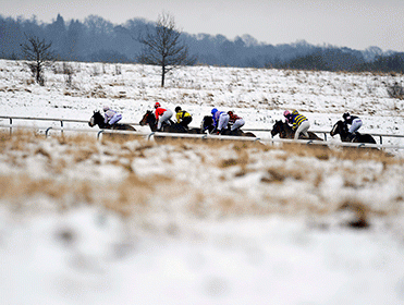 http://betting.betfair.com/horse-racing/Lingfield-snow-371.gif