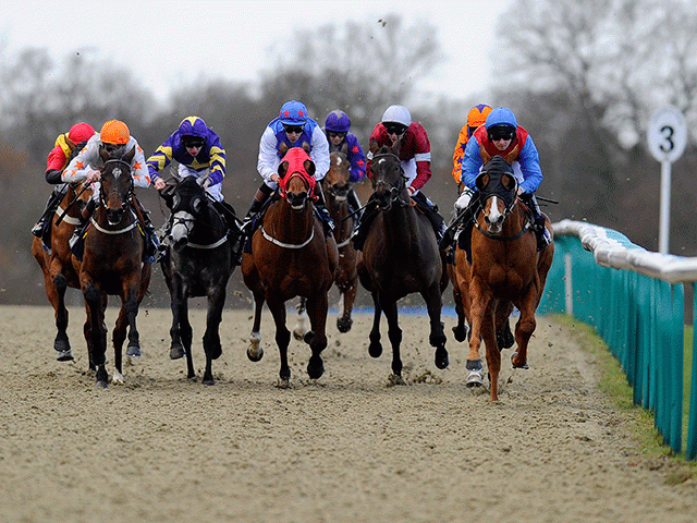Lingfield stages racing today - and the betting has already begun!