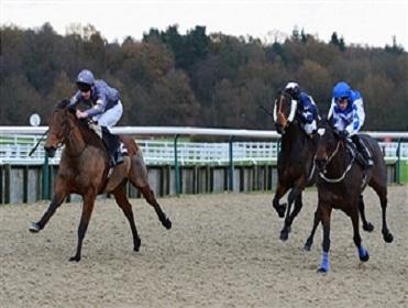 Lingfield host a good card on Friday afternoon
