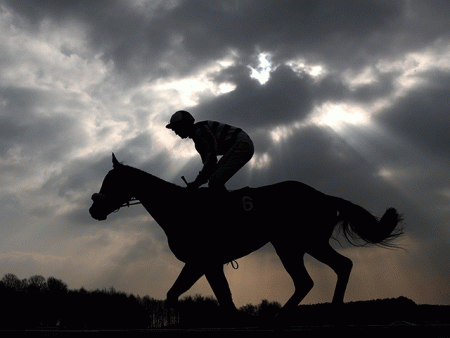 https://betting.betfair.com/horse-racing/Lone-horse-silhouetted-640.gif