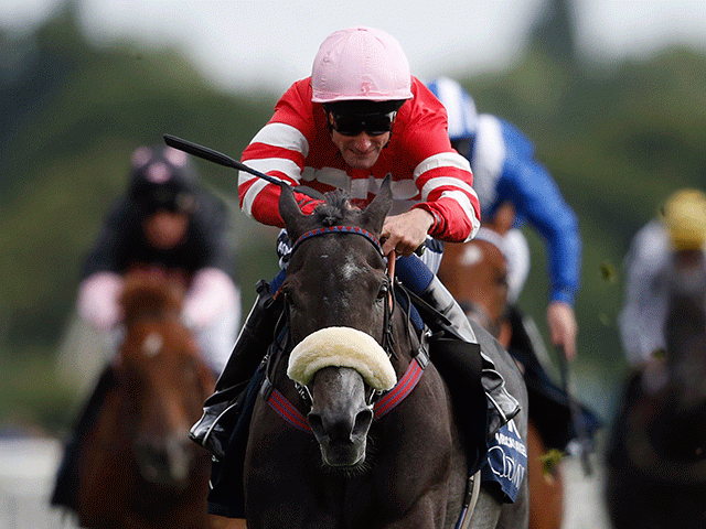 Mecca's Angel won last year's Nunthorpe and is back again this year