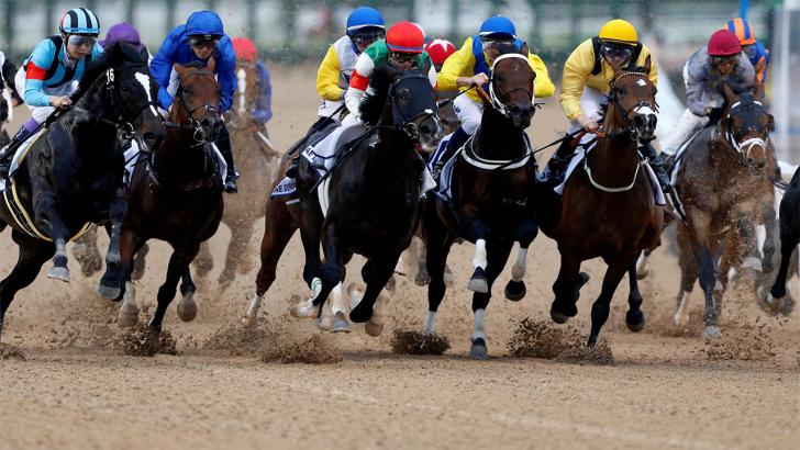 Dubai World Cup Carnival Tips