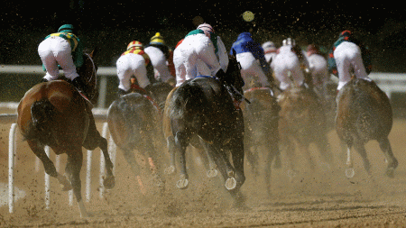 https://betting.betfair.com/horse-racing/Meydan-bend-action-1280.gif