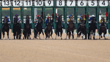 https://betting.betfair.com/horse-racing/Meydan-gates-1280.gif