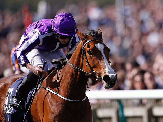 Minding is the favourite for the Irish Champion Stakes but Tony Keenan is looking elsewhere for the winner