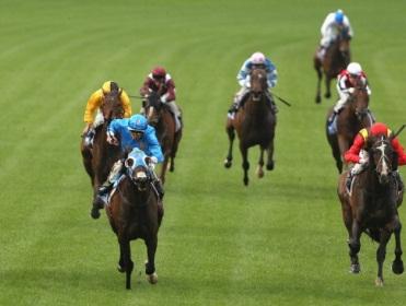 http://betting.betfair.com/horse-racing/Moonee_Valley_Manikato.jpg