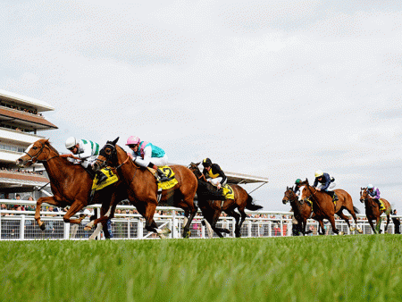 https://betting.betfair.com/horse-racing/Newbury-ground-level-640.gif