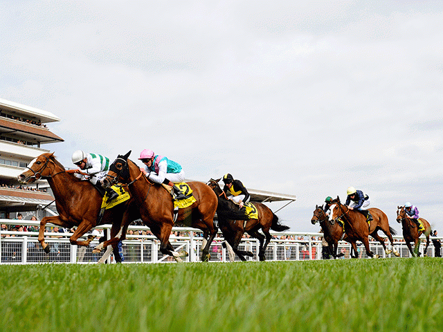 There is action at Newbury tonight - get the latest movers here