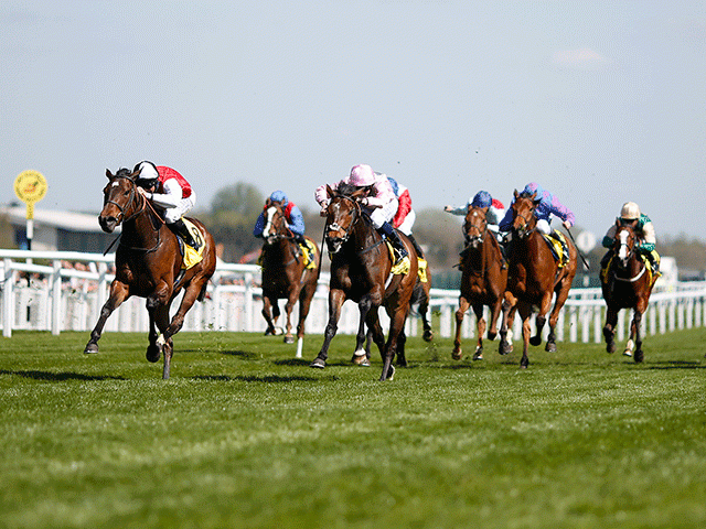 The Lockinge Stakes is the feature race on Saturday