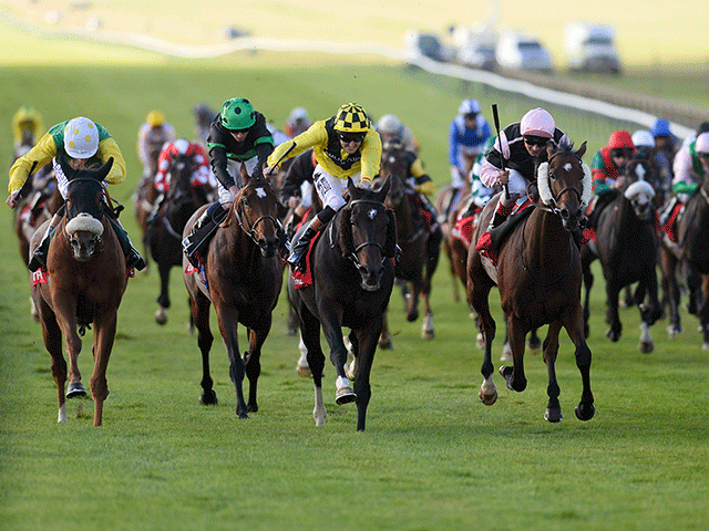 Newmarket is just one of Friday's five evening meetings