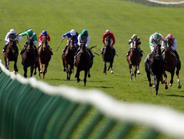Timeform focus their In-Play Hints on Newmarket
