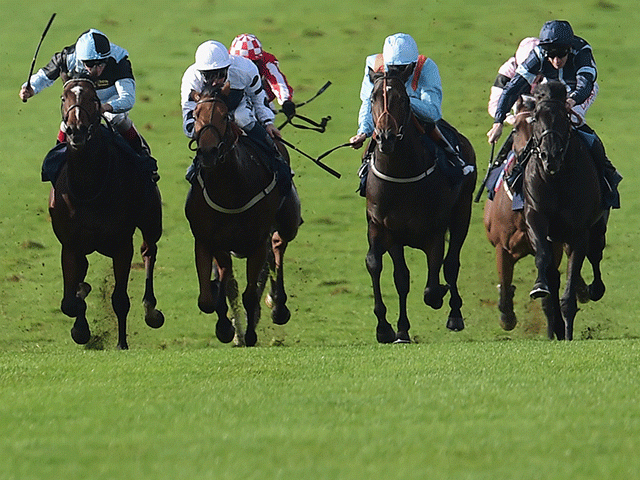 There is high-class Flat racing from Newmarket on Thursday