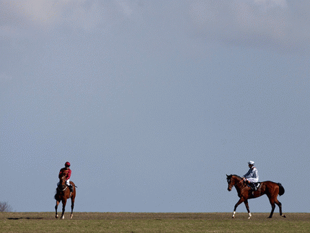 https://betting.betfair.com/horse-racing/Newmarket-horses-on-hill-640.gif