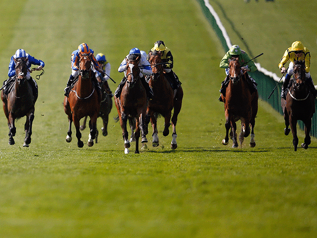 Newmarket forms part of Saturday's racing feast