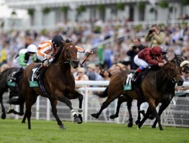 The Nassau is the feature at Goodwood on Saturday