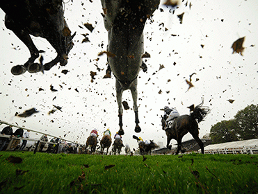 Sunday's SmartPlays comes from Plumpton
