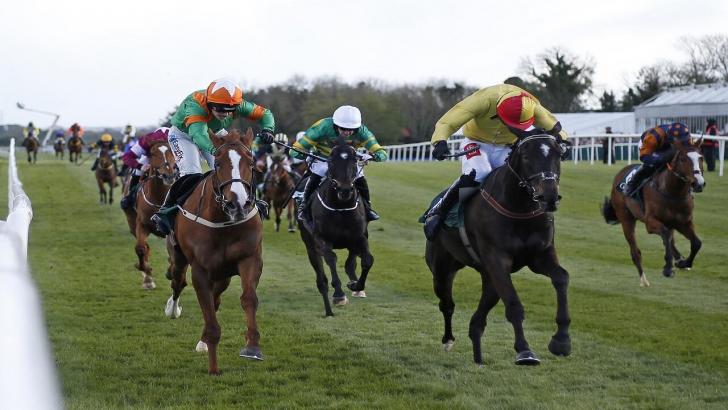 Punchestown Festival Betting Betfair Racing