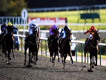 Lingfield is the venue for two of today's FTM selections
