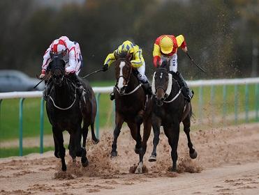 Southwell is one of today's two afternoon meetings