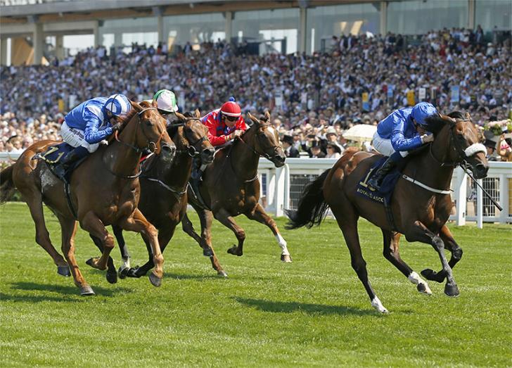 Ribchester can cap off his season with victory in the QEII