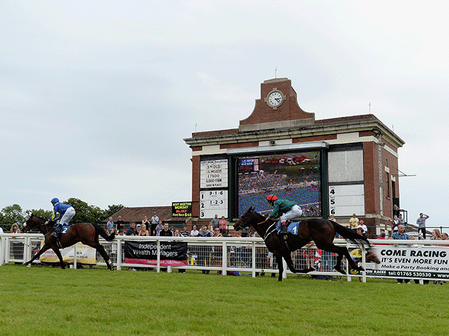 There are eight races to enjoy at Ripon today