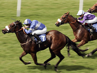 http://betting.betfair.com/horse-racing/Rowe-Park-2007-371.gif