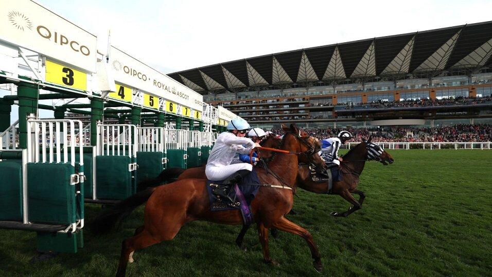 Royal Ascot Day Three Tips from Timeform: King's Gambit can reign