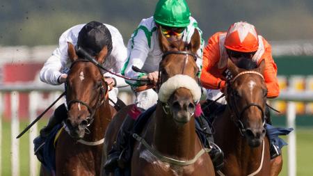 https://betting.betfair.com/horse-racing/Salateen-1280.jpg