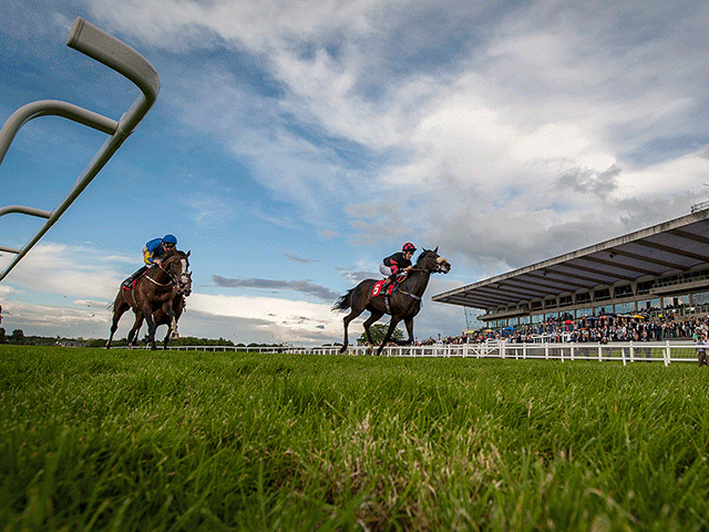 There is high-class Flat racing from Sandown on Thursday evening