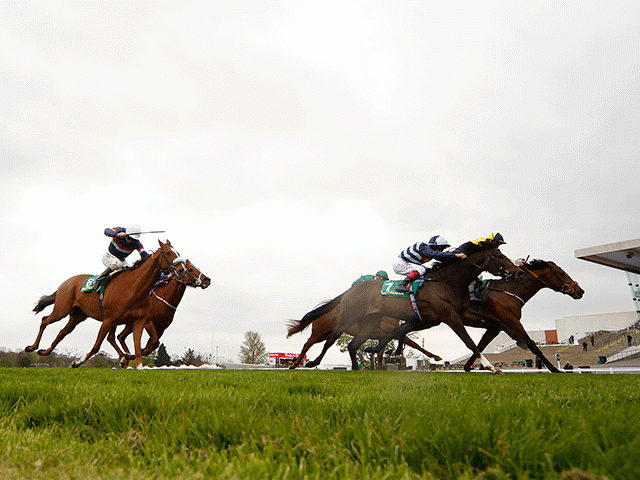 The Contenders Hurdle takes place at Sandown Park on Saturday