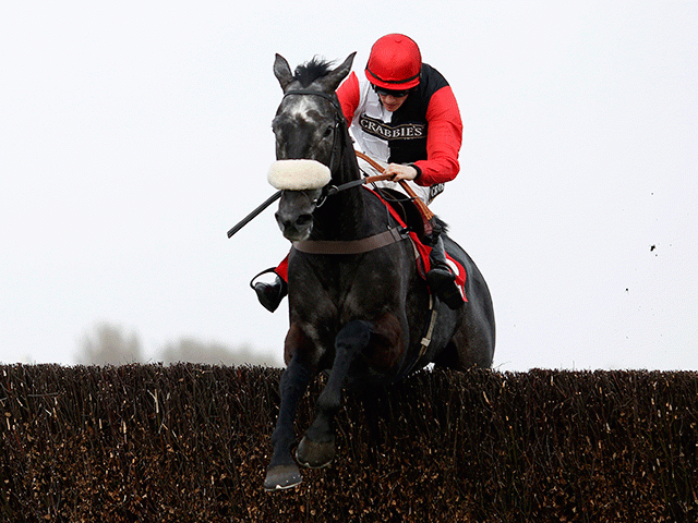 Saphir du Rheu will bid to atone for last year's defeat in Saturday's Hennessy Gold Cup