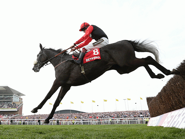Saphir Du Rheu impressed in the Gold Cup, is a National win next? 