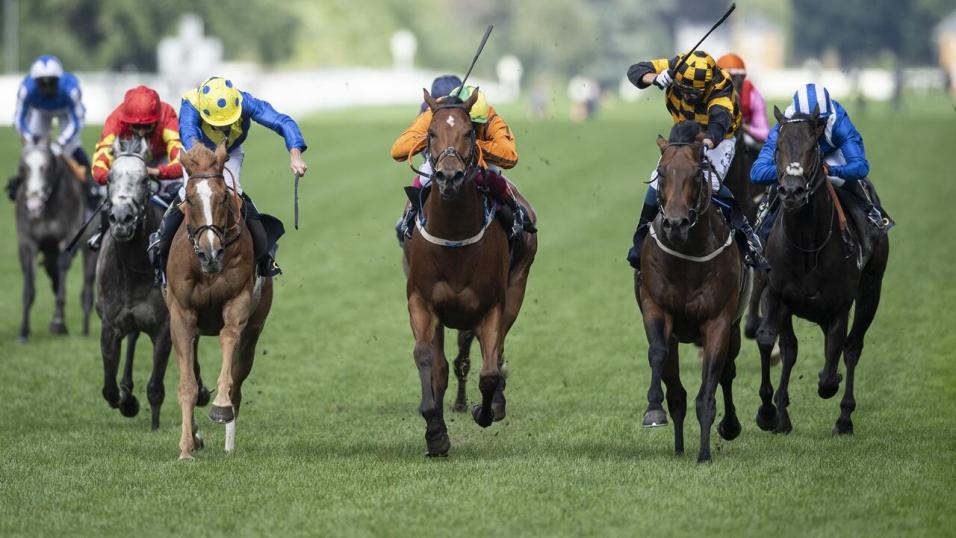 ascot-racing-tips-more-to-come-from-timeless-melody