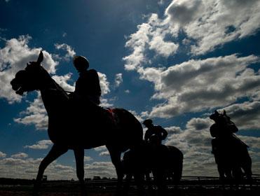 There's evening racing from Tipperary on Friday