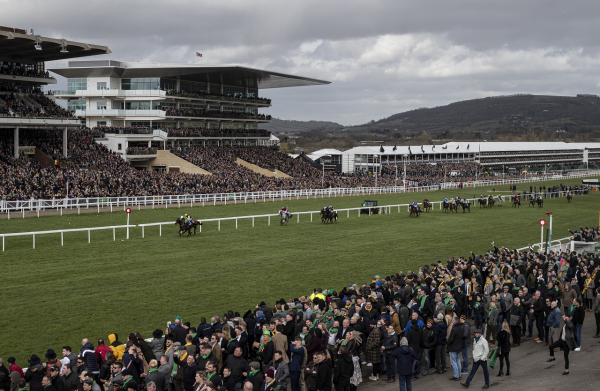 Sire Du Berlais Cheltenham win 1280 x 834.png