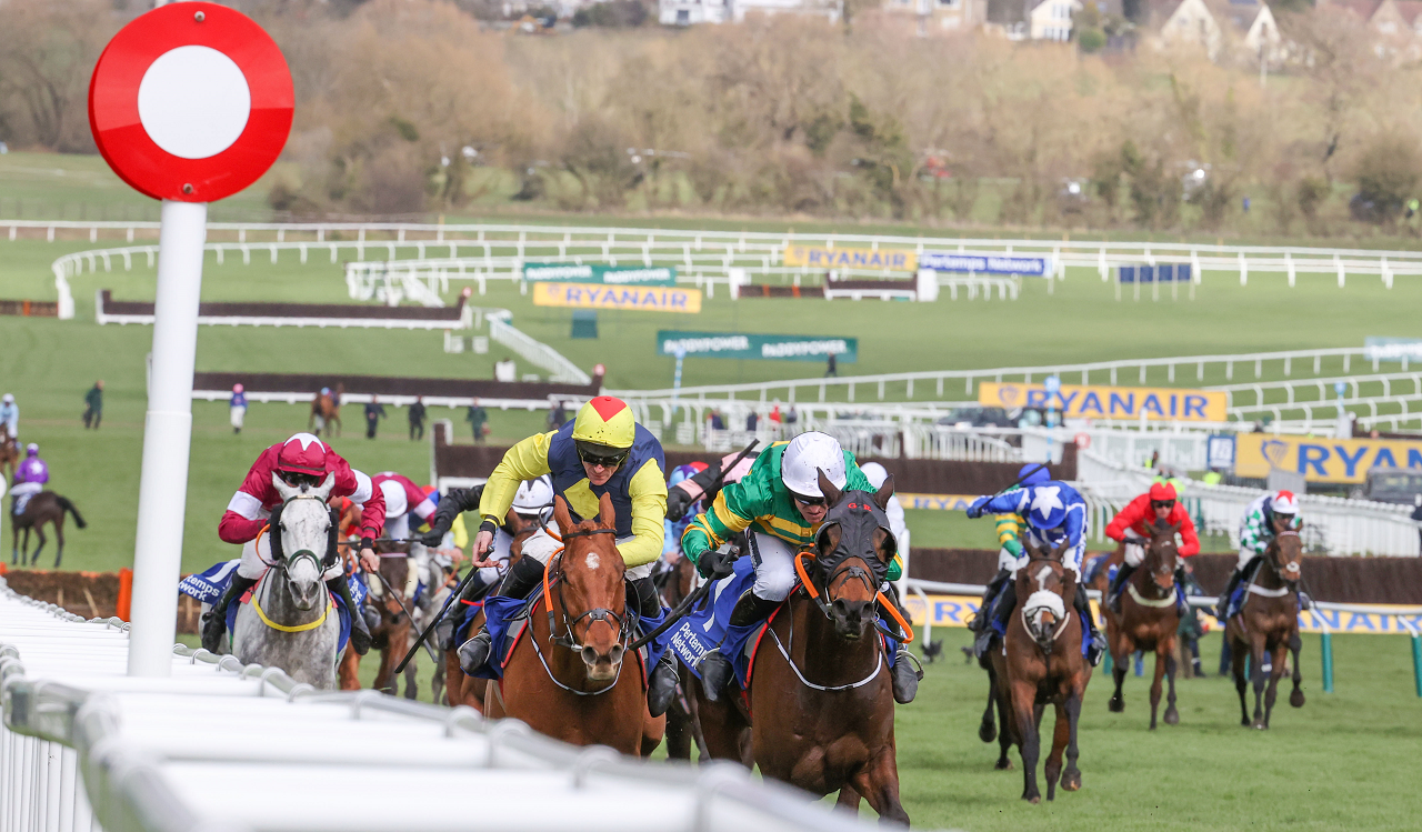 Cheltenham Daily Multiple Tips: Duffy and Ebasari for an each-way starter on Day 1 - Vimarsana News