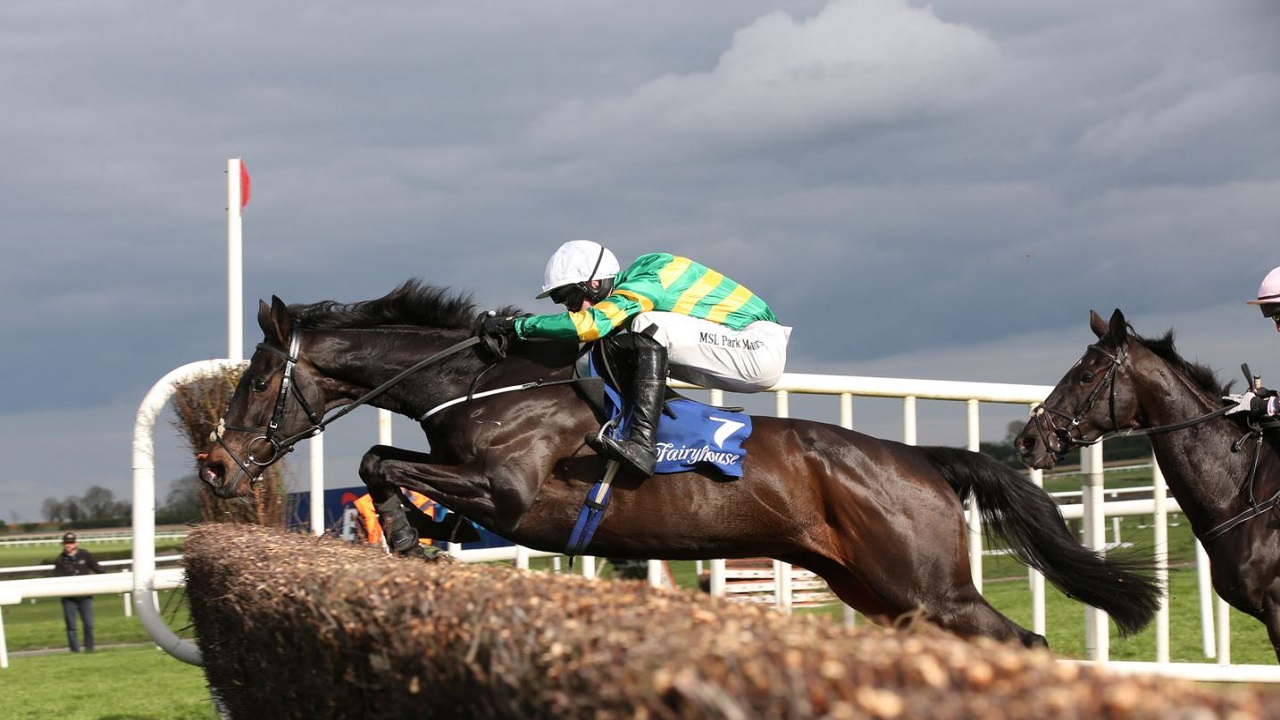 Slowmotion, Joseph O'Brien - 1280.jpg