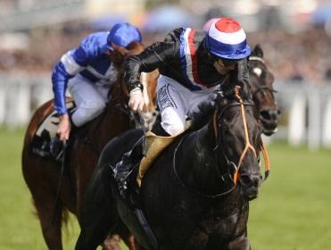 http://betting.betfair.com/horse-racing/Society_Rock.jpg