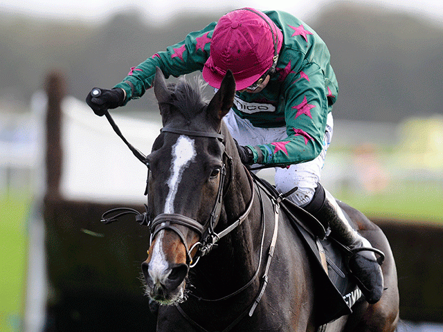 Somersby looks a big price for the Betfair Tingle Creek, says Tony