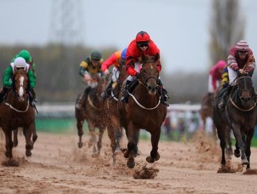 Timeform analyse the in-running angles at Southwell