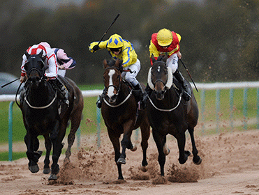 http://betting.betfair.com/horse-racing/Southwell-AW-371.gif
