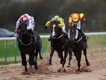 Timeform analyse the in-running angles at Southwell