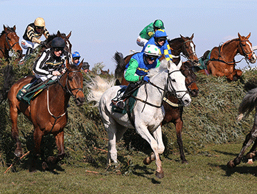 http://betting.betfair.com/horse-racing/Swing-Bill-white-371.gif