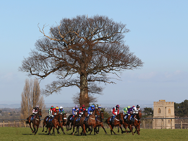 We're racing at Taunton (pictured), Newcastle, Warwick, and Punchestown this afternoon