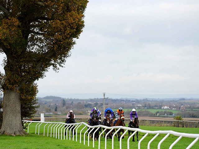 We're racing at Taunton, Towcester, and Thurles this afternoon